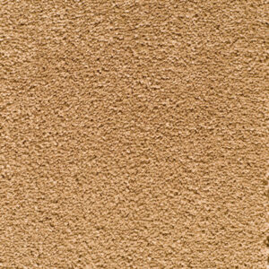 Canterbury - Chocolate Chip