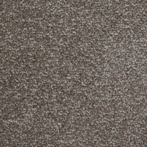 Canterbury Extra - Pecan Pie