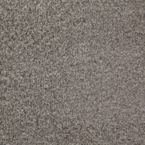 Canterbury Plus - Littlebourne