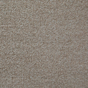 Canterbury Plus - Sandwich