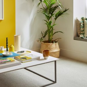 Sensation - Artic Grey