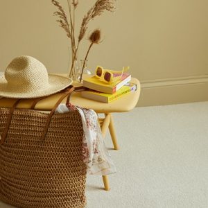 Sensation - Icing Sugar