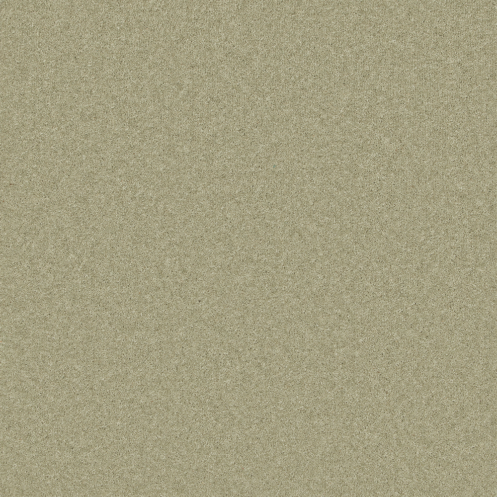 Pembroke Collection - Chervil