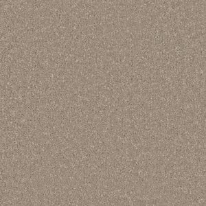 Sensation - Ammonite