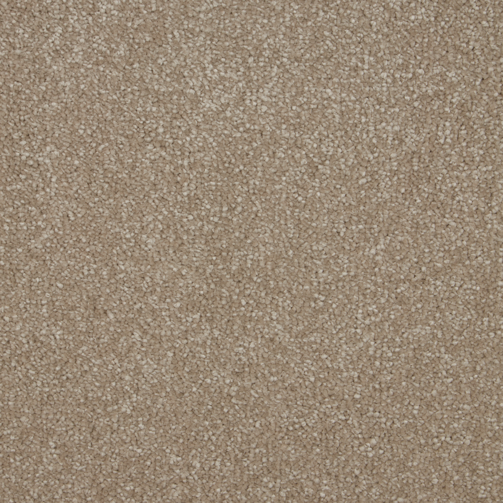 Sensation - Cambrian Stone