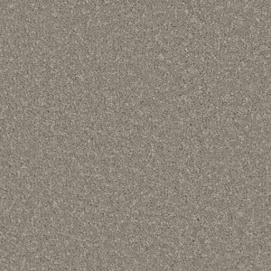 Sensation - Greystone