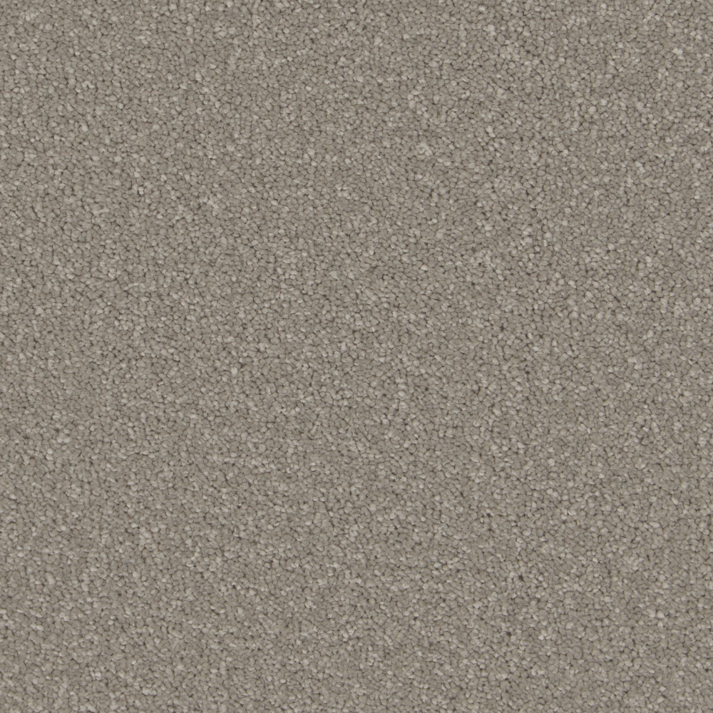 Sensation - Greystone