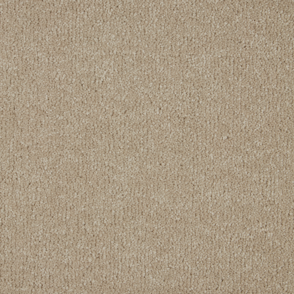 Sensation - Latte - Image 2