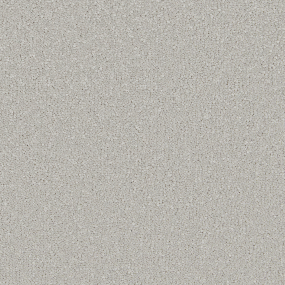 Sensation - Radiance