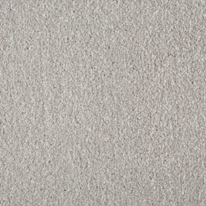 Primo Plus - Misty Morning