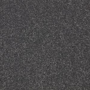 Primo Plus - Moleskin