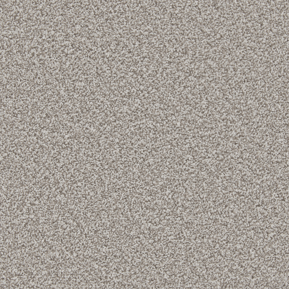 Apollo Plus - Meteorite - Image 2