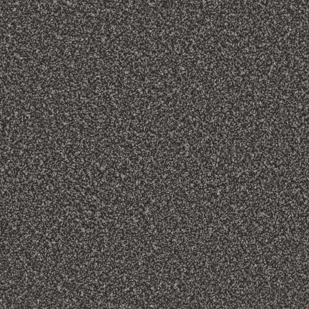 Apollo Plus - Nigella