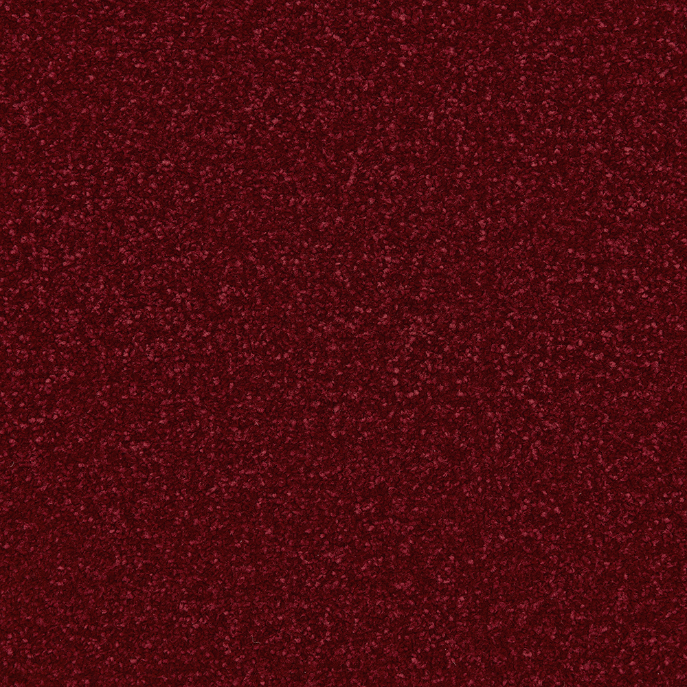 Apollo Plus - Scarlet - Image 2