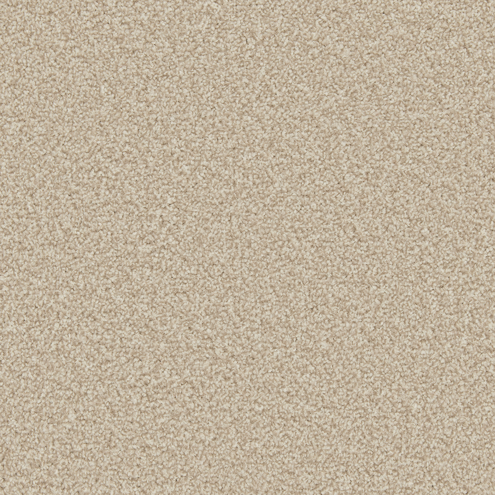 Apollo Plus - Shortbread - Image 2