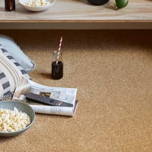 Apollo Plus - Bumblebee