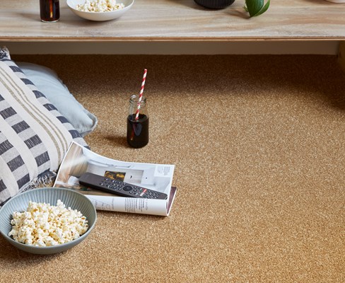 Apollo Plus - Bumblebee