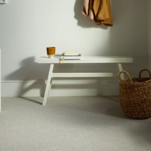 Primo Textures - Porcini