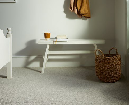 Primo Textures - Porcini