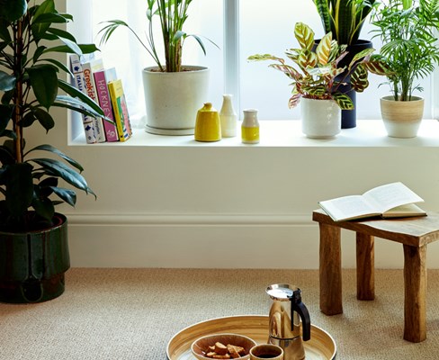 Primo Textures - Canvas