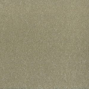 Cosmic Twist - Pegasus