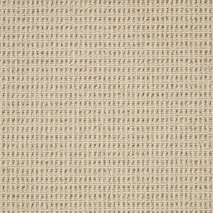 Pimlico - Palm Beach