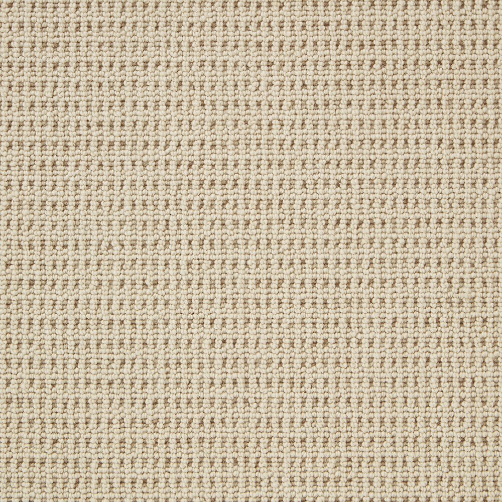 Pimlico - Palm Beach