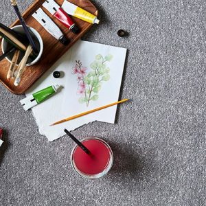 Primo Plus - Moonshine